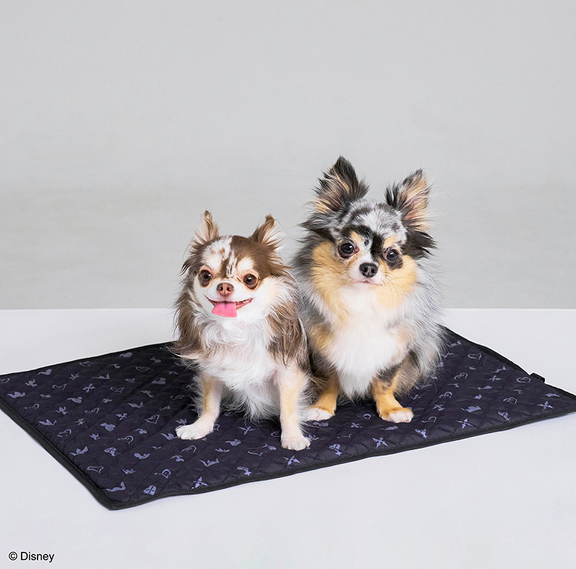KINGDOM HEARTS PETs　カフェマット　モノグラム