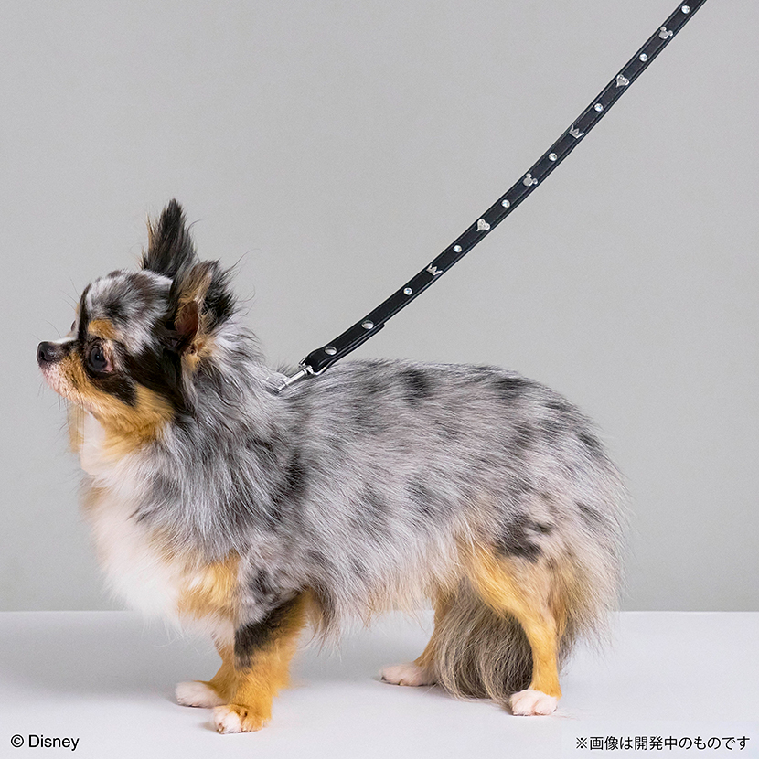 KINGDOM HEARTS PETs　ペットリード　モノグラム