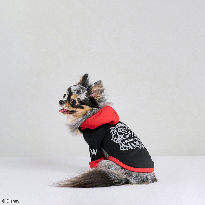KINGDOM HEARTS PETs　ドッグウェア　ソラ