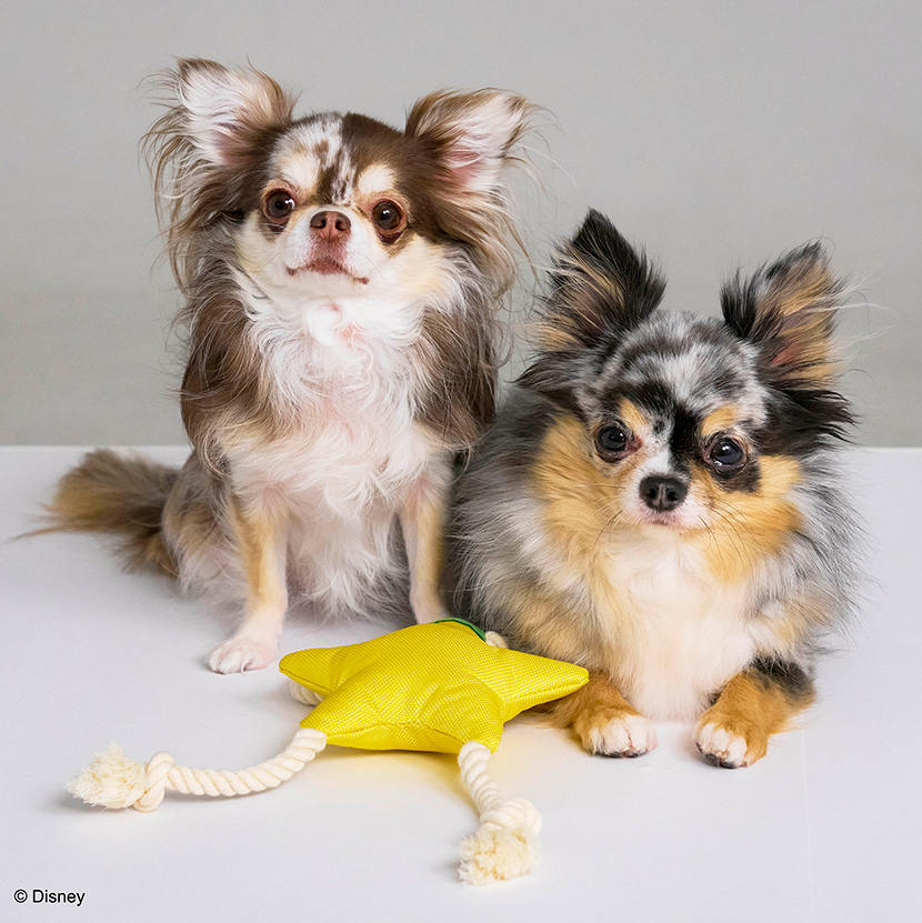 KINGDOM HEARTS PETs　ロープトイ for Dog　パオプの実
