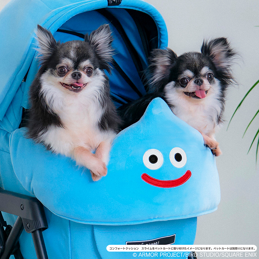 DRAGON QUEST PETs 各種 | スクウェア・エニックス e-STORE DRAGON QUEST PETs 各種 | スクウェア・エニックス e-STORE