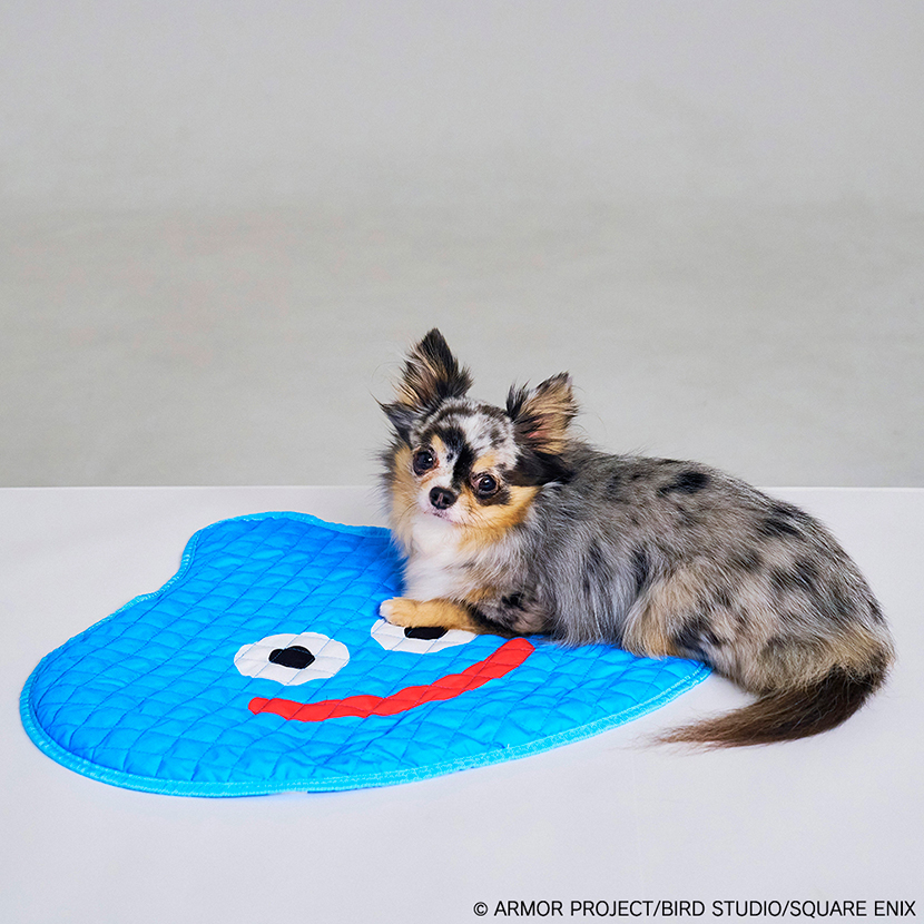 DRAGON QUEST PETs 各種 | スクウェア・エニックス e-STORE DRAGON QUEST PETs 各種 | スクウェア・エニックス e-STORE
