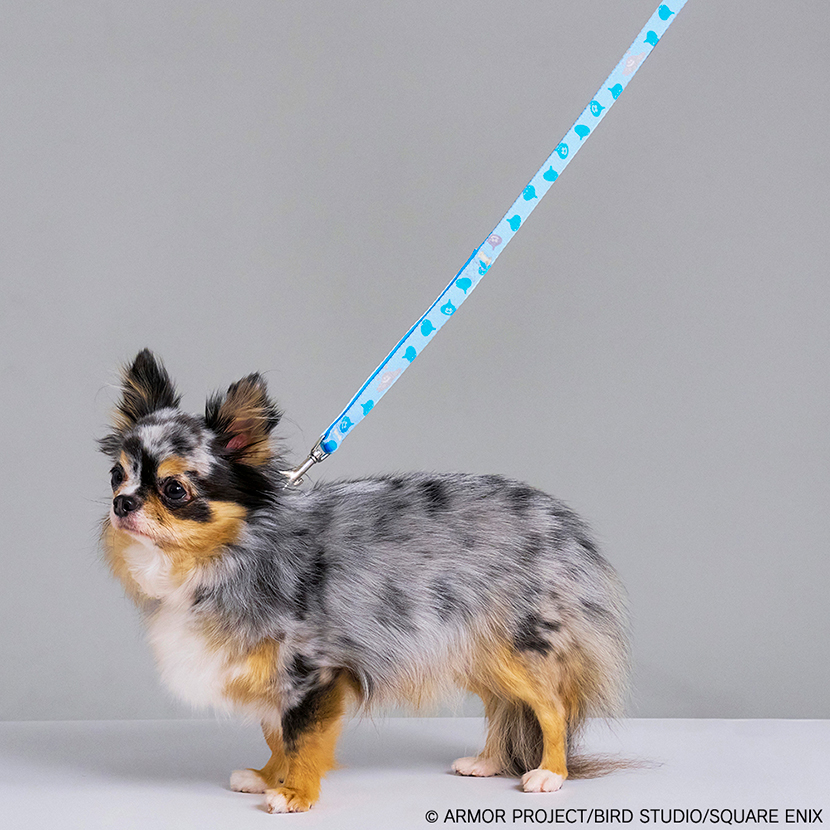 DRAGON QUEST PETs　スライムのリフレクター付きペットリード