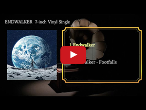 ENDWALKER 7-inch Vinyl Single