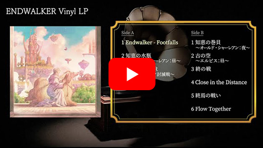 ENDWALKER Vinyl LP